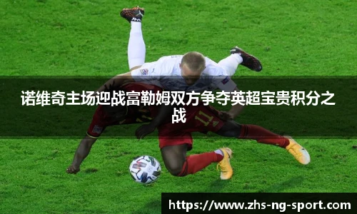 诺维奇主场迎战富勒姆双方争夺英超宝贵积分之战